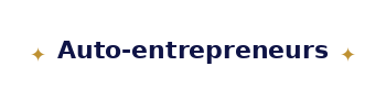 Auto-entrepreneurs